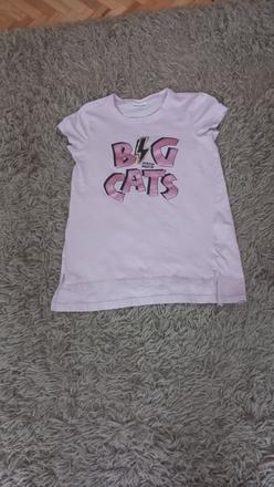 Tričko, coccodrillo,146