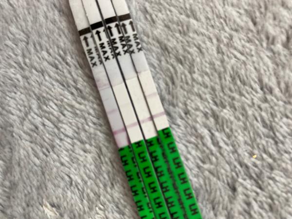 Ovulační test znovu sílí. Jakto?