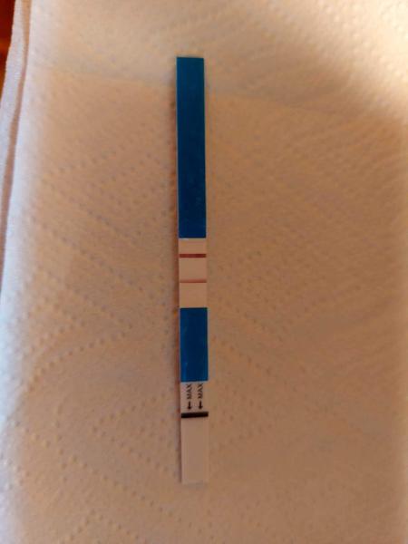 Pozitivní těhotenský test po zpoždění o dva dny?