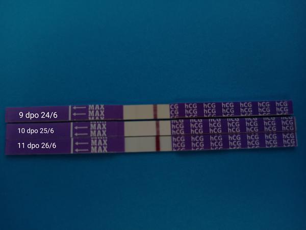 Mamatest: Jsou slabé čárky známkou těhotenství?