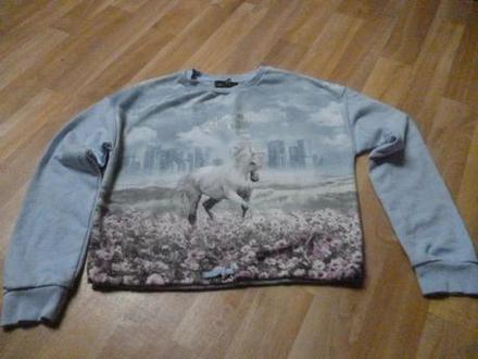 Kobylková mikina 11-12, c&a,146