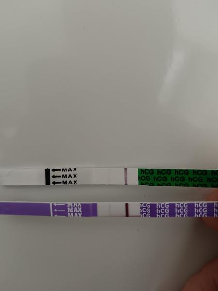 Jsou těhotenské testy přesné den před menstruací?