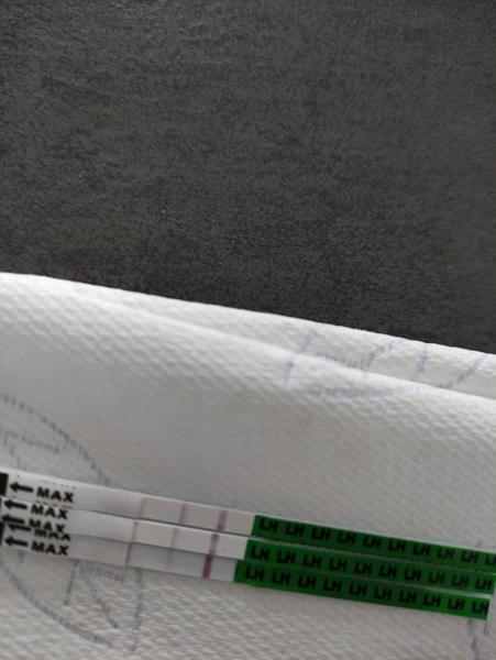 Ovulační test. Pozitivní?