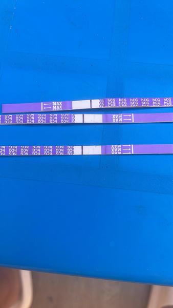 Je špinění při těhotenství běžné? Jaké jsou šance?