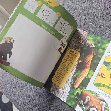 Časopis puntík 7,8/2020,