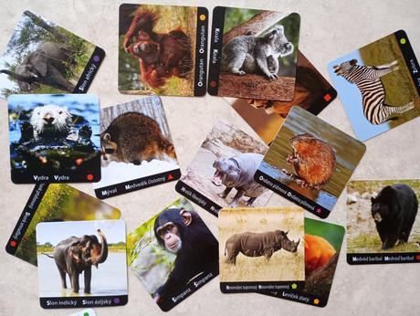 Pexeso angličtina se zvířaty dino, 