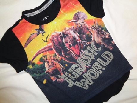 Super tričko s dinosaury, 98