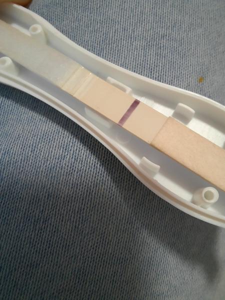 Vidím na fotce ducha, nebo se mi to zdá?