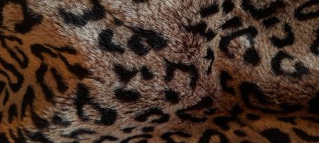 Miss selfridge leopardí kožíšek, miss selfridge,m