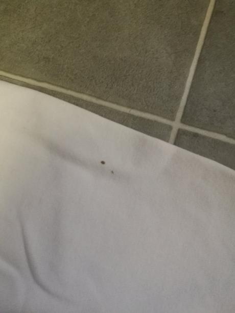 Chlapecká mikina nike 152/158, nike,152