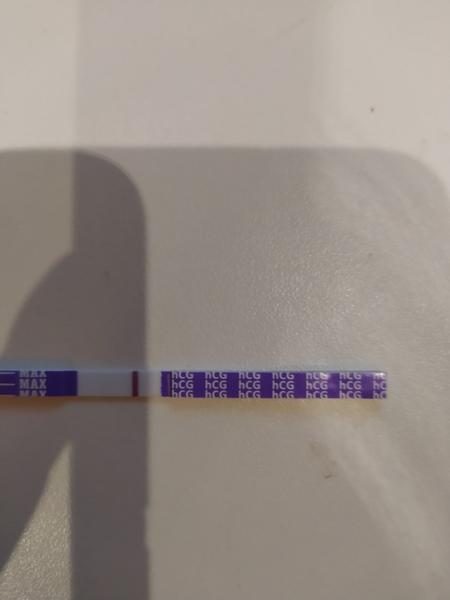 Může těhotenský test ukázat pozitivní výsledek brzy?