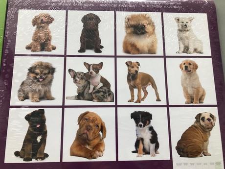 24 x obrázky foto do rámečku zvířata zoo pes barva, 