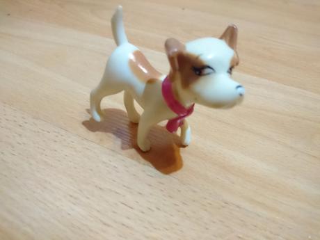 Pejsek k panence barbie,