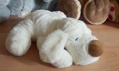 Hledám plyšového pejska