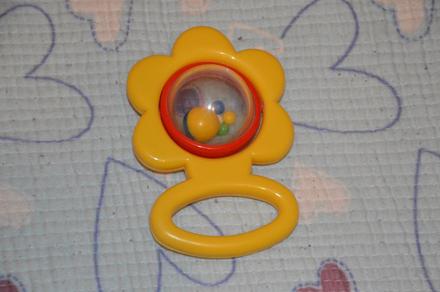 Žluté chrastítko, 