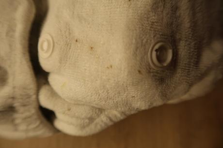 Plenka, baby lucy,4 kg - 9 kg