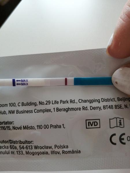 Je výsledek těhotenského testu pozitivní?