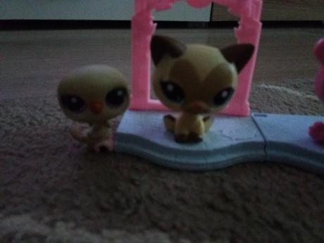 Pet schop zviřátka,