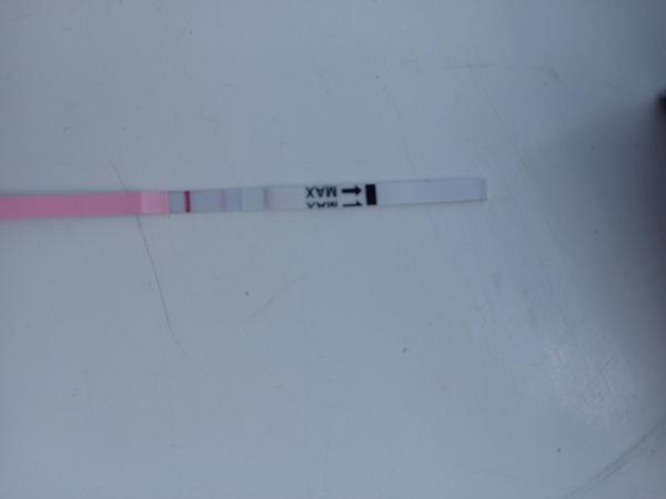 Ovu test při ms. Může se na něm ukázat i těhotenství?