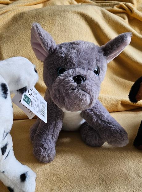 Plyšový pes plyšák buldok buldoček šedý,