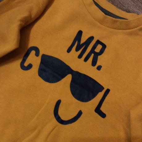 Mikina ,,mr. cool", f&f,86