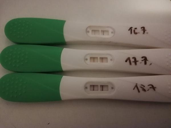 Ovulace - kdy to je?