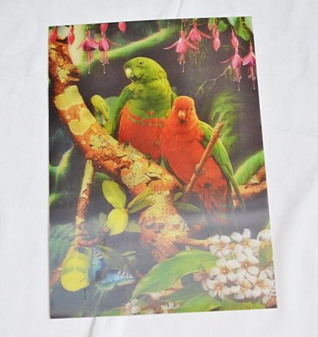 Jídelní podložka papoušci,