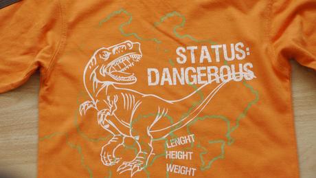 Oranzove tricko dinosaurus 98 palomino, palomino,98
