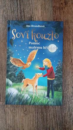 Soví kouzlo,