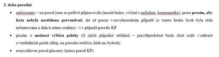 Porodní plán