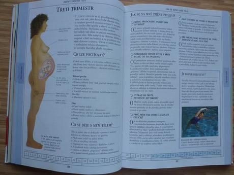 Těhotenství v otázkách a odpovědích, 