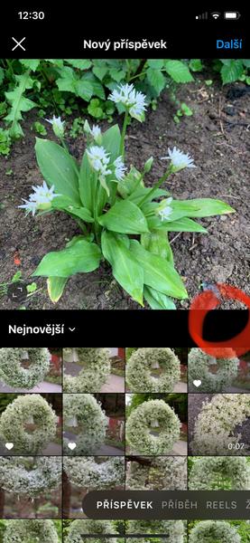 Instagram - u nového příspěvku přidávání více fotek za sebou. Kde může být problém?