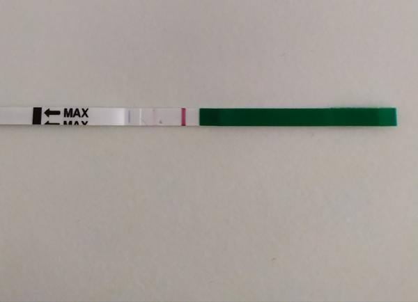 Test. Je možné, že se to povedlo?