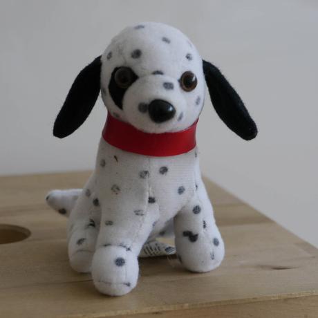 Maly pejsek dalmatyn,