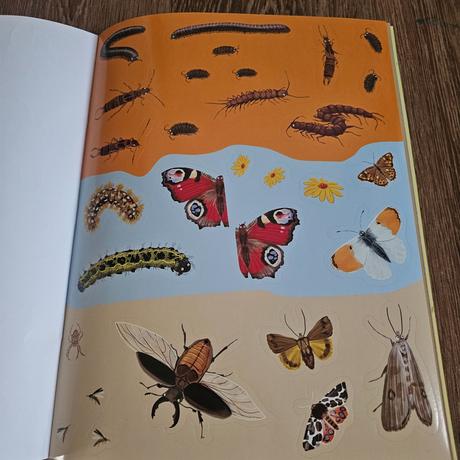 Velká samolepková kniha broučci, motýli a další, 