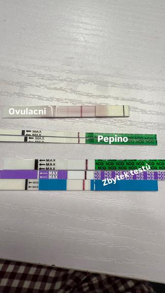 Falešné pozitivní výsledky testů Pepino: Jaké máte zkušenosti?