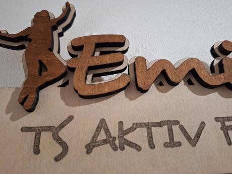 Věšák na medaile,