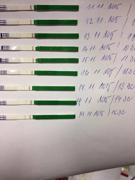 Už je to ovulace? 🙂