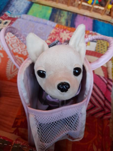 Čivava pejsek plyšový v tašce chi chi love,