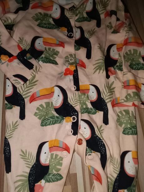 Overal a ptáky 68 tu, tu,68