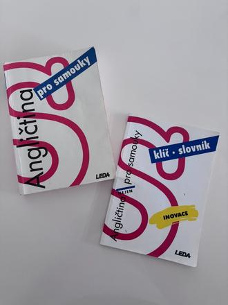 Angličtina pro samouky,