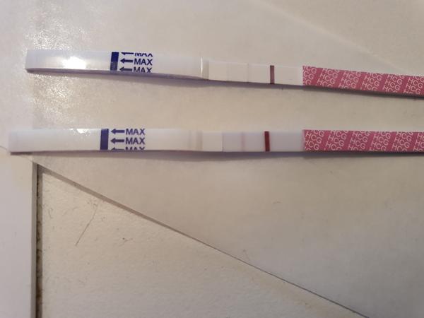 Slabý test 12 dní po embryotransferu. Jaké jsou vaše zkušenosti?