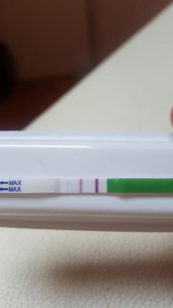 Utrogestan a ovu test. Ovlivňuje ho?
