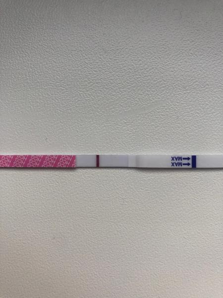 Vidíte ducha na těhotenském testu?