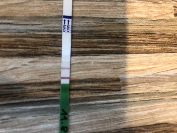 Je ovulační test pozitivní?