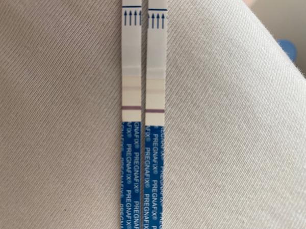 Těhotenský test. Duch?