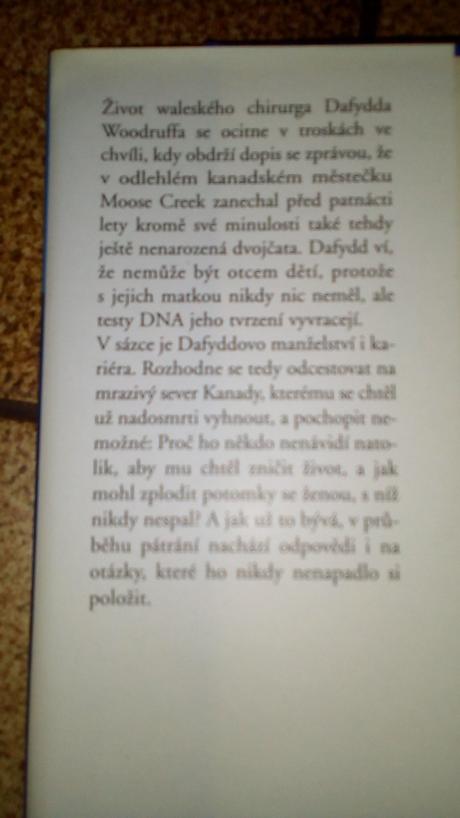 Dobrodružný román, 