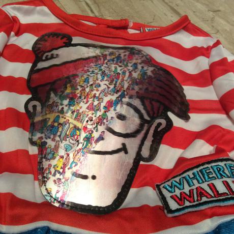 Kostým ,,kde je wally", 
