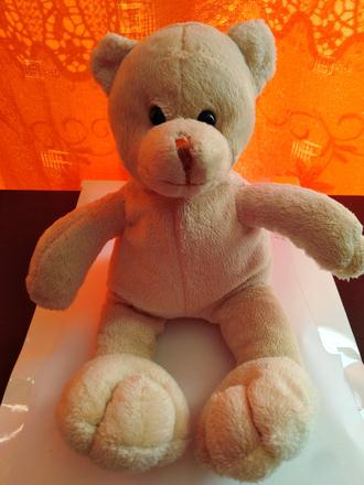 Plyšový medvídek, 