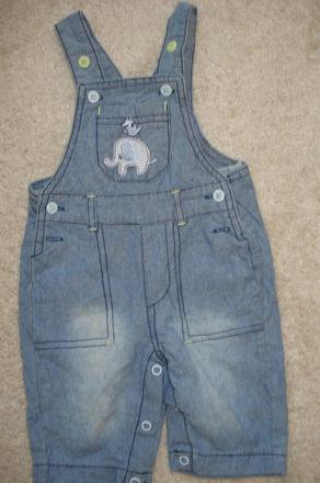 Riflové lacláčky, 56